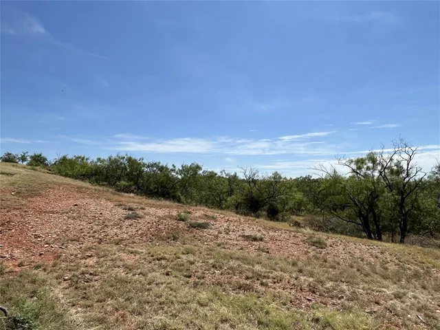a view of a dry yard with trees