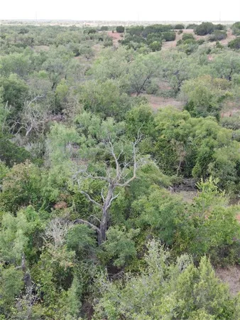 a view of a lush green forest with trees and some houses