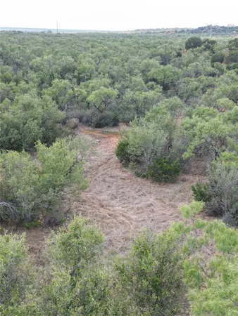 a view of a forest with a street