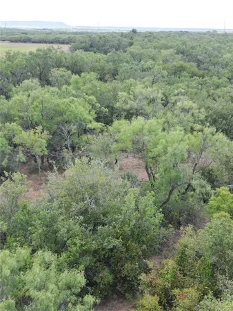 a view of a lush green forest with trees and some houses