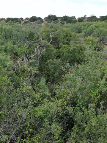 a view of a mountain in the distance in a field