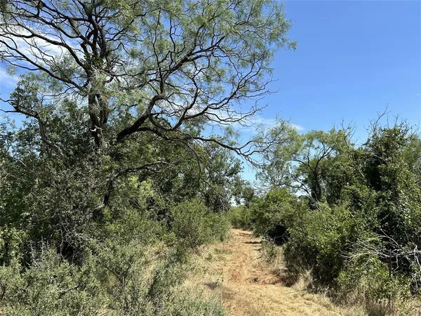 a view of a large yard with lots of bushes