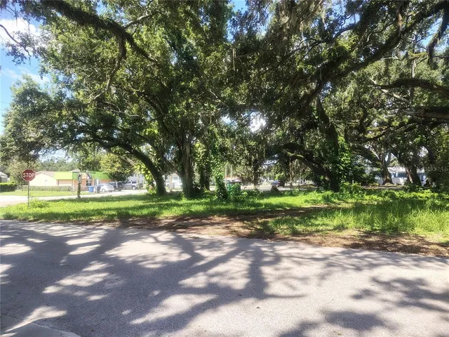 a view of a yard with plants and trees
