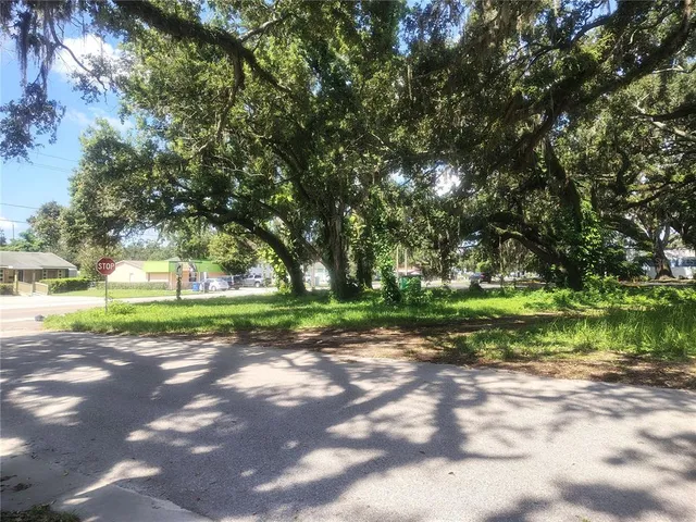 a view of a yard with plants and trees