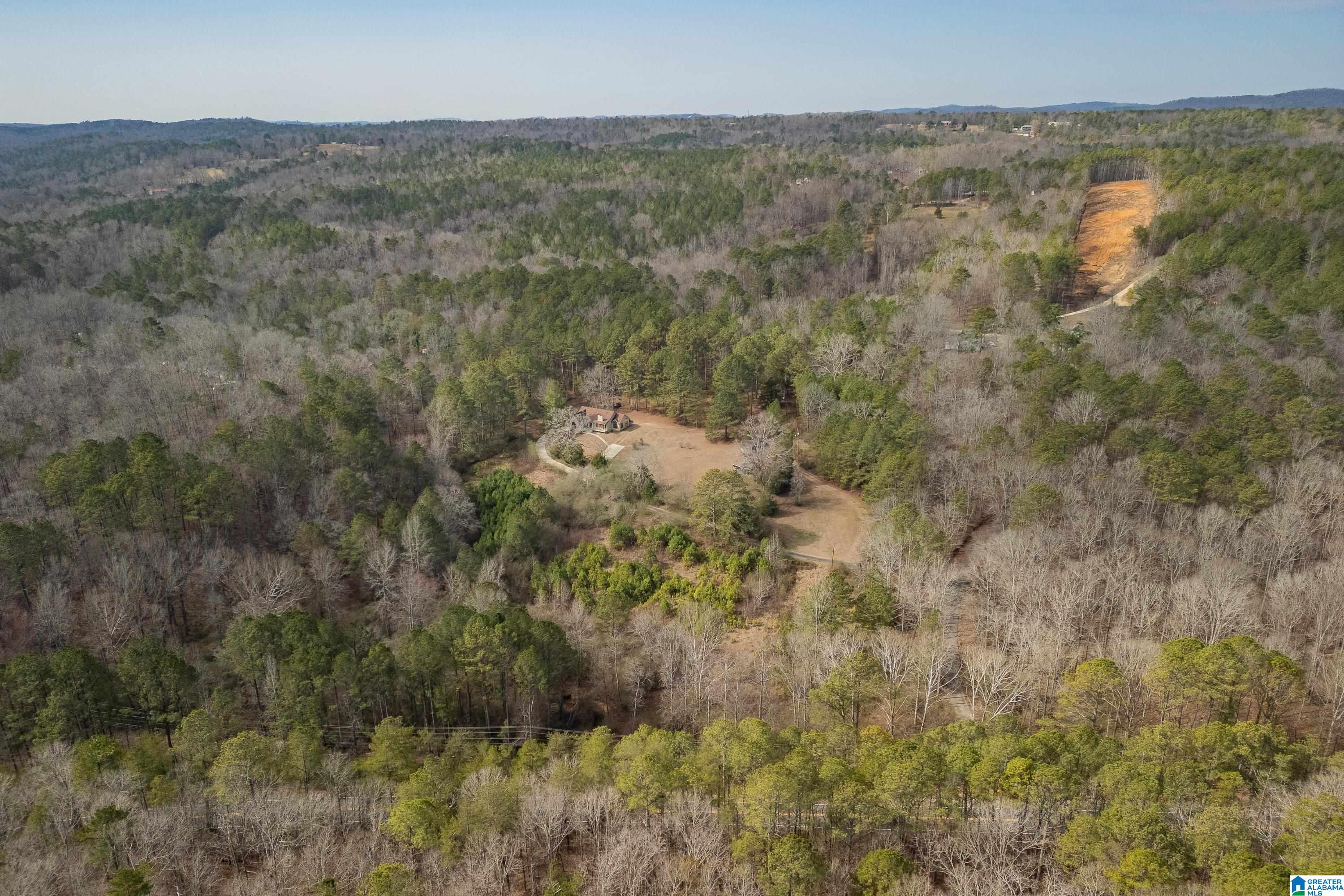2050 Argo Margaret Road Odenville, AL 35120 - Photo 33 of 61