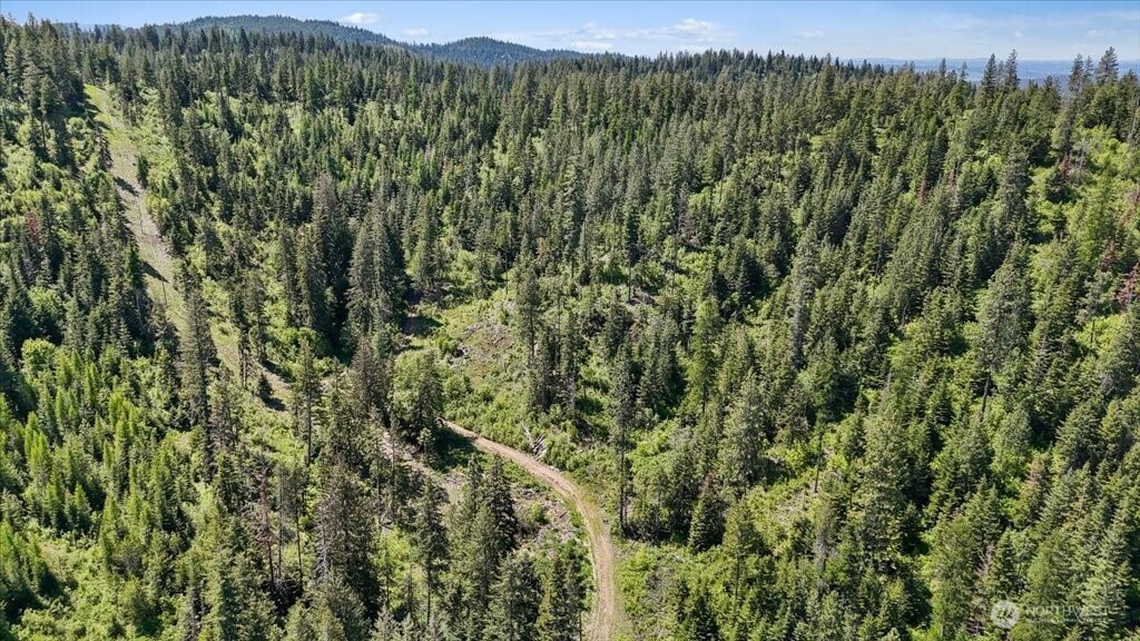 18-xxx East Miner Road Mead, WA 99021 - Photo 2 of 40 a view of a lush green forest with trees in the background