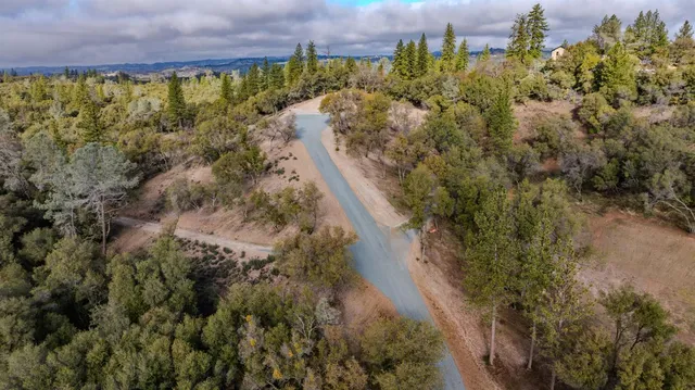 a view of a forest with a forest