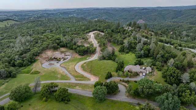 a view of a lush green forest with lush green forest