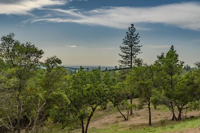 an aerial view of a houses with a lush green hillside