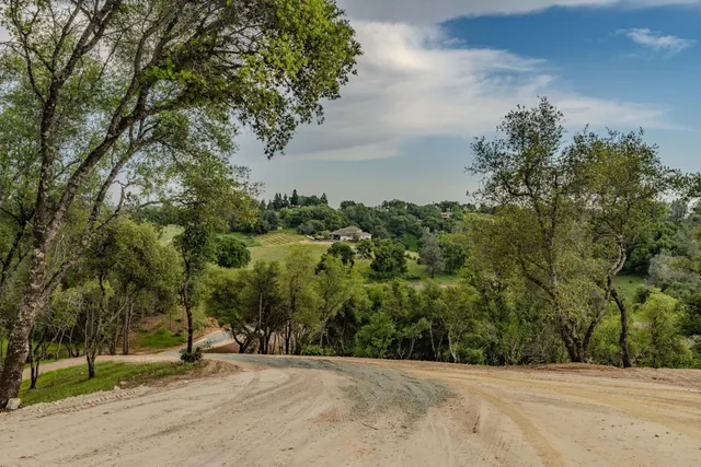 an aerial view of green landscape with trees houses and mountain view