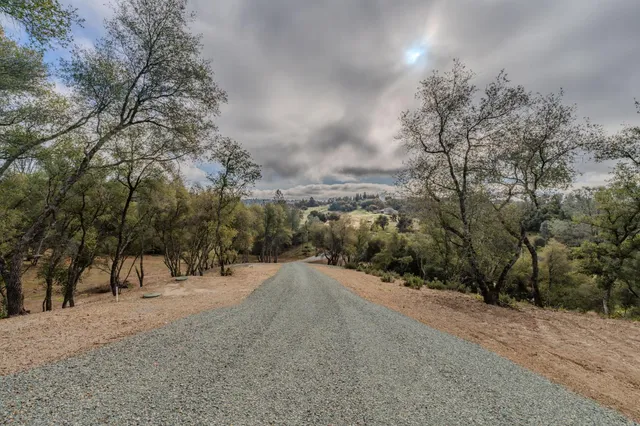an aerial view of forest
