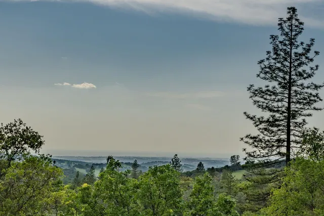 a view of an outdoor space and yard