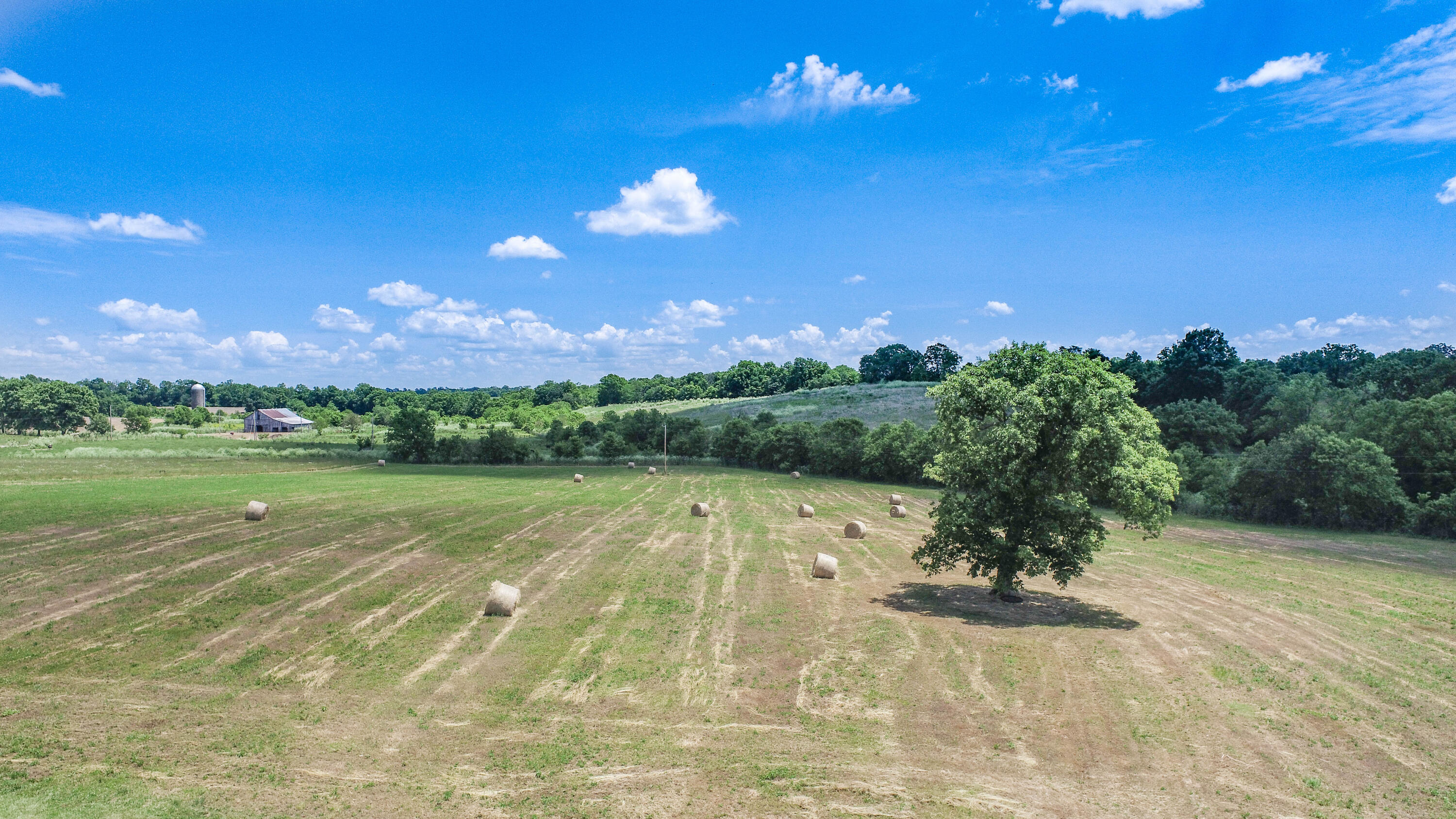 526 Steele Road Paris, KY 40361 - Photo 3 of 30 20230601191358499027000000-o