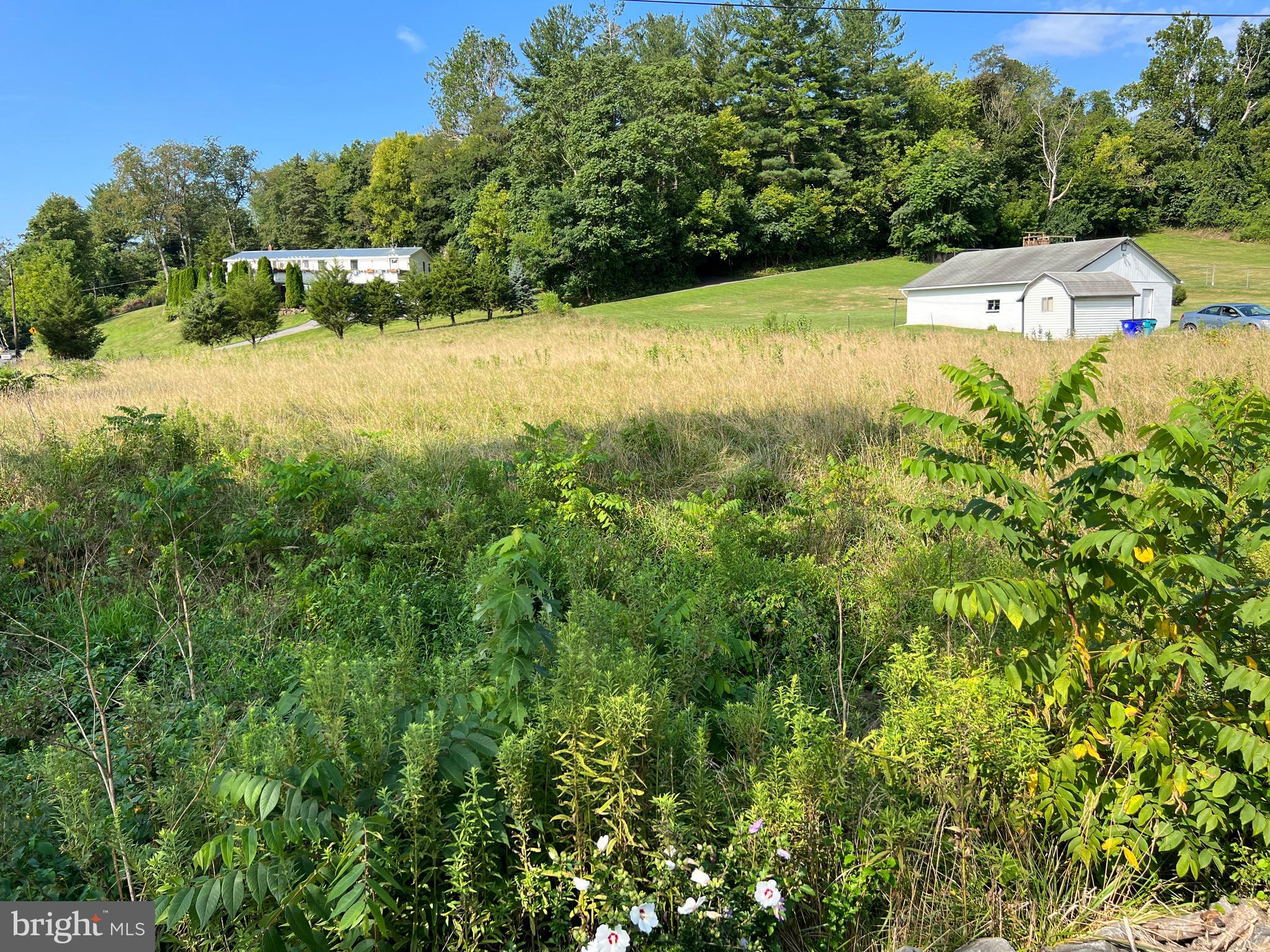 3948 Brethren Church Road Myersville, MD 21773 - Photo 19 of 67