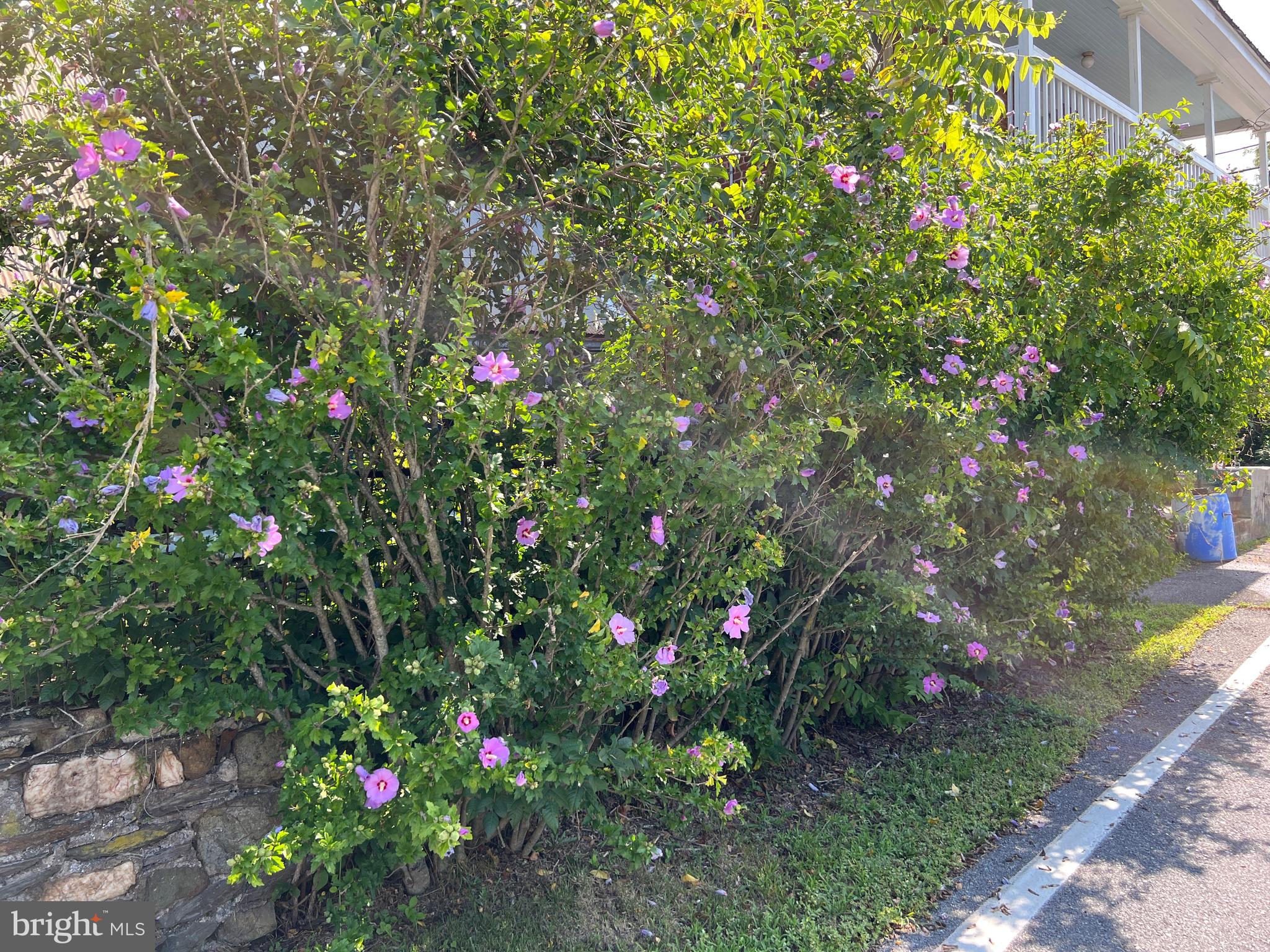 3948 Brethren Church Road Myersville, MD 21773 - Photo 62 of 67