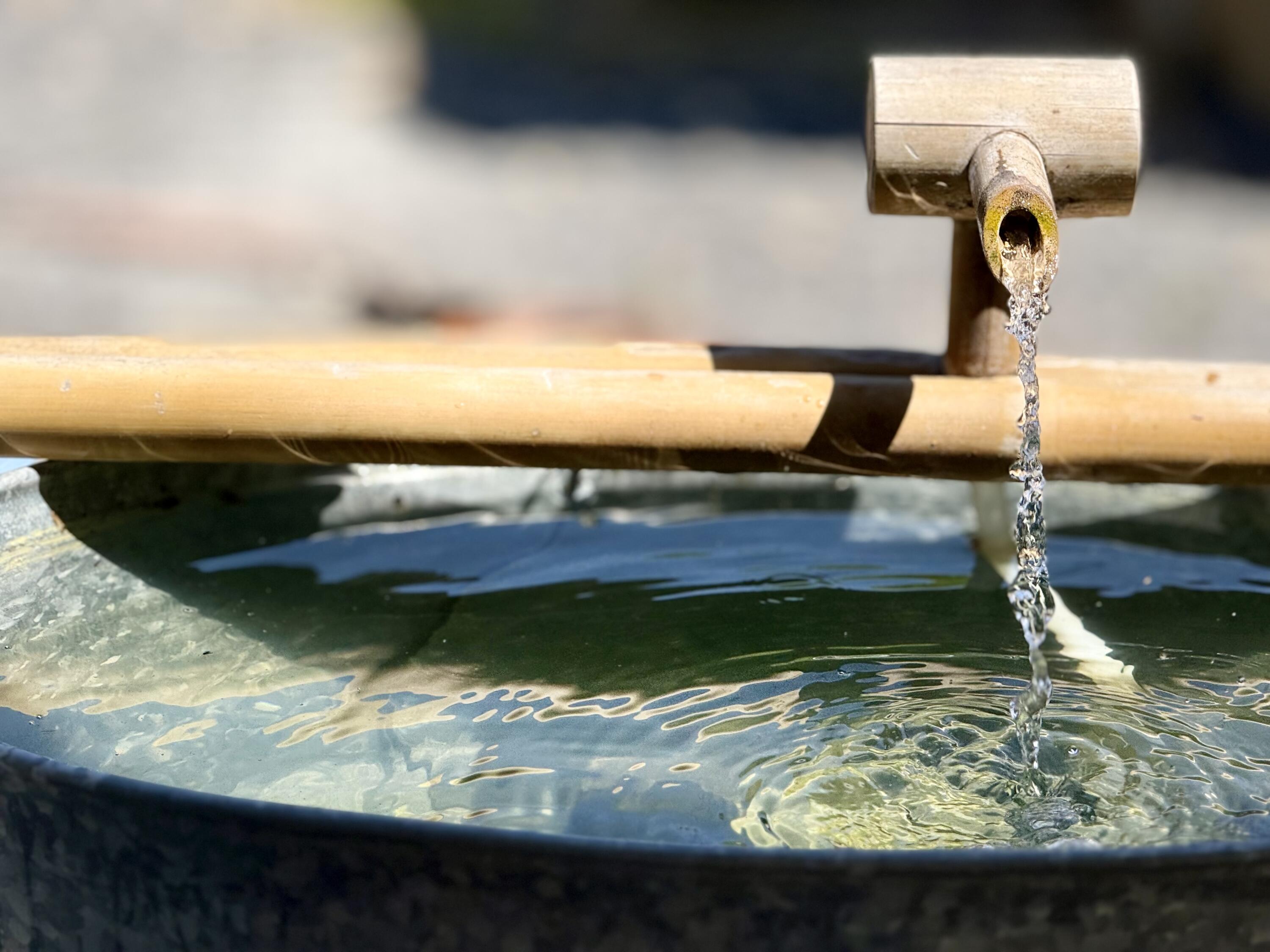 2175 North Dick Creek Road LaFayette, GA 30728 - Photo 11 of 69 IMG_4390