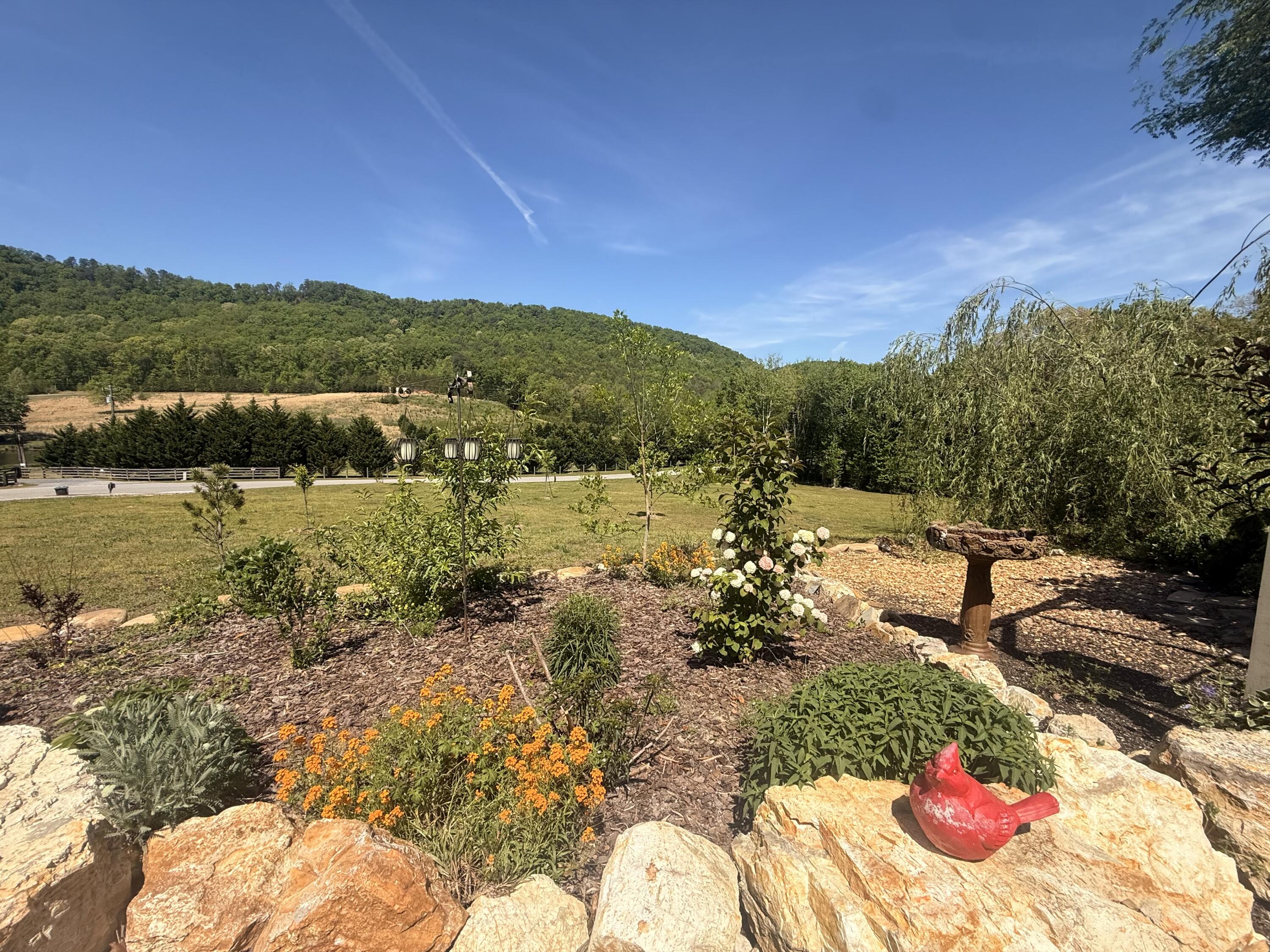 2175 North Dick Creek Road LaFayette, GA 30728 - Photo 12 of 69 IMG_4365