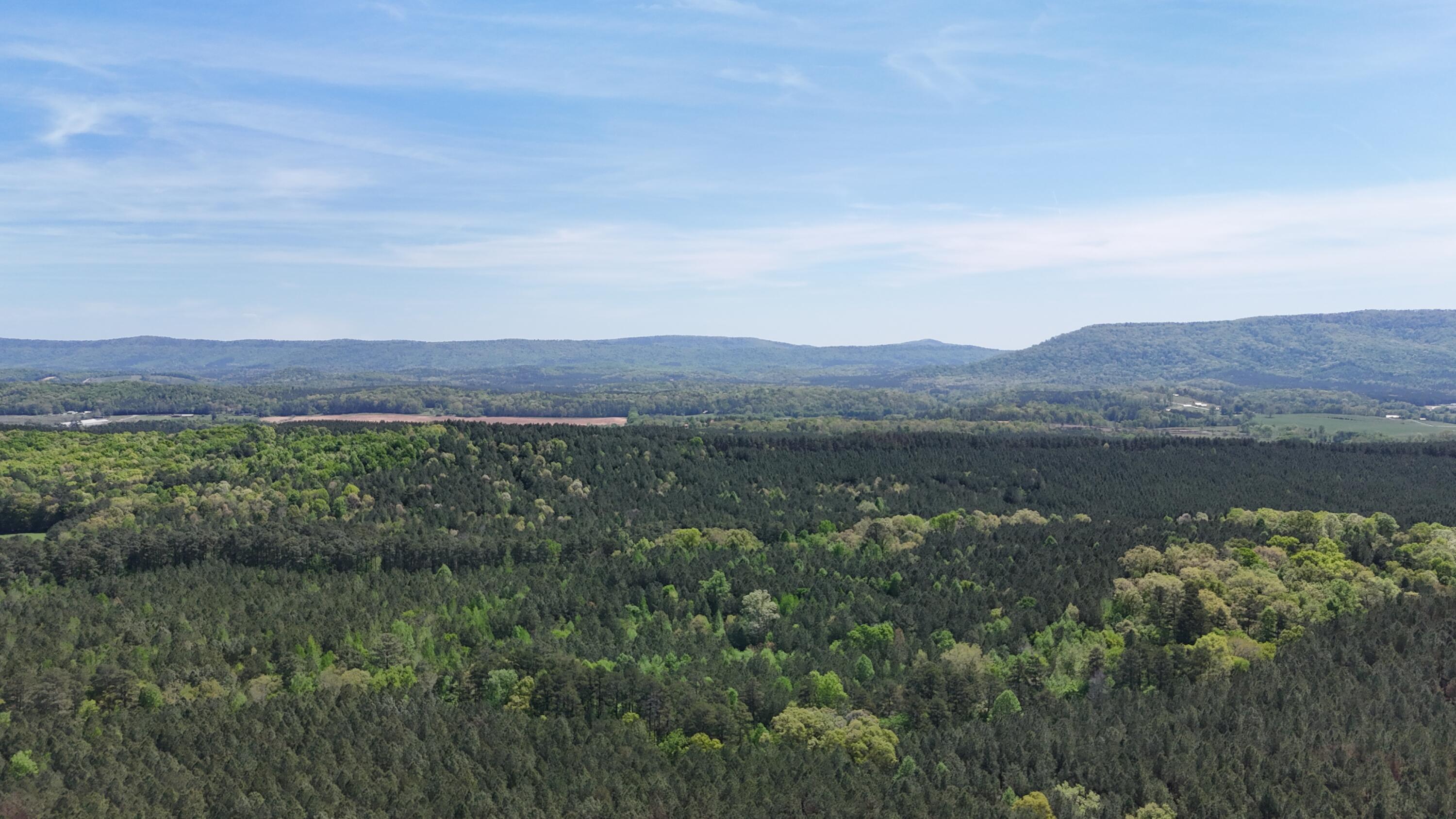 2175 North Dick Creek Road LaFayette, GA 30728 - Photo 2 of 69 dji_fly_20260415_122122_0065_17762720440