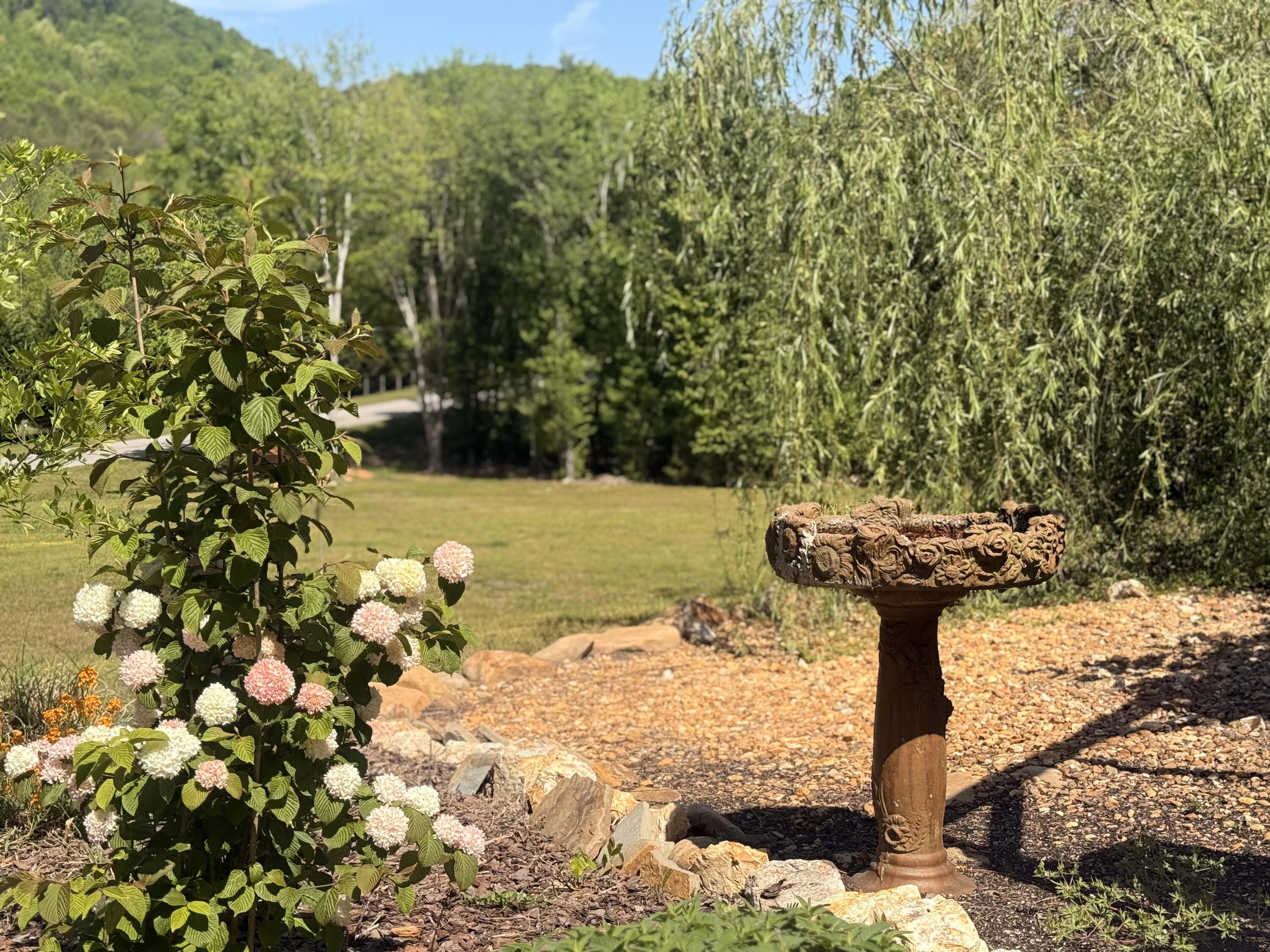 2175 North Dick Creek Road LaFayette, GA 30728 - Photo 47 of 69 IMG_4366