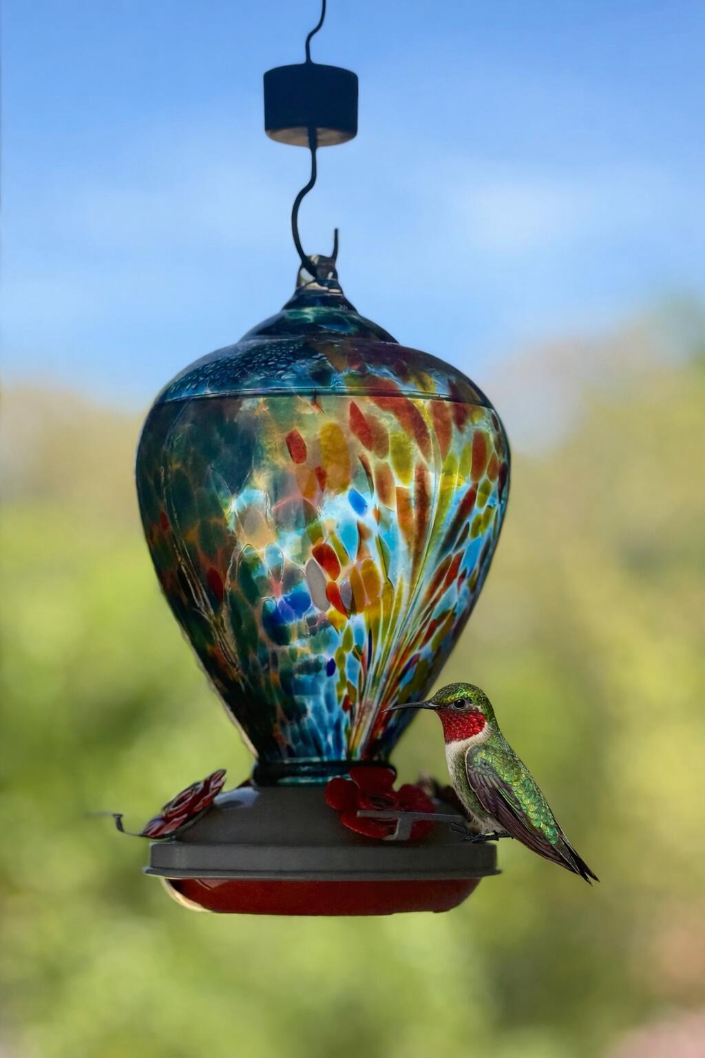 2175 North Dick Creek Road LaFayette, GA 30728 - Photo 48 of 69 DFC4DDF0-171D-4994-AF2E-C74A92B89152