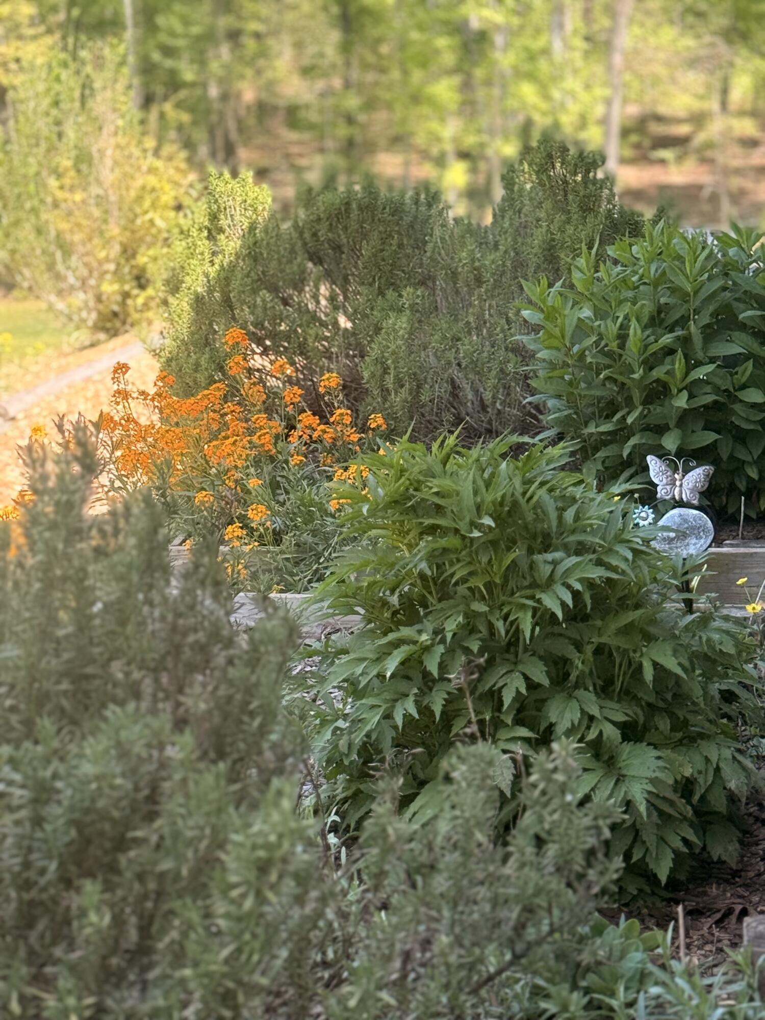 2175 North Dick Creek Road LaFayette, GA 30728 - Photo 49 of 69 IMG_4377