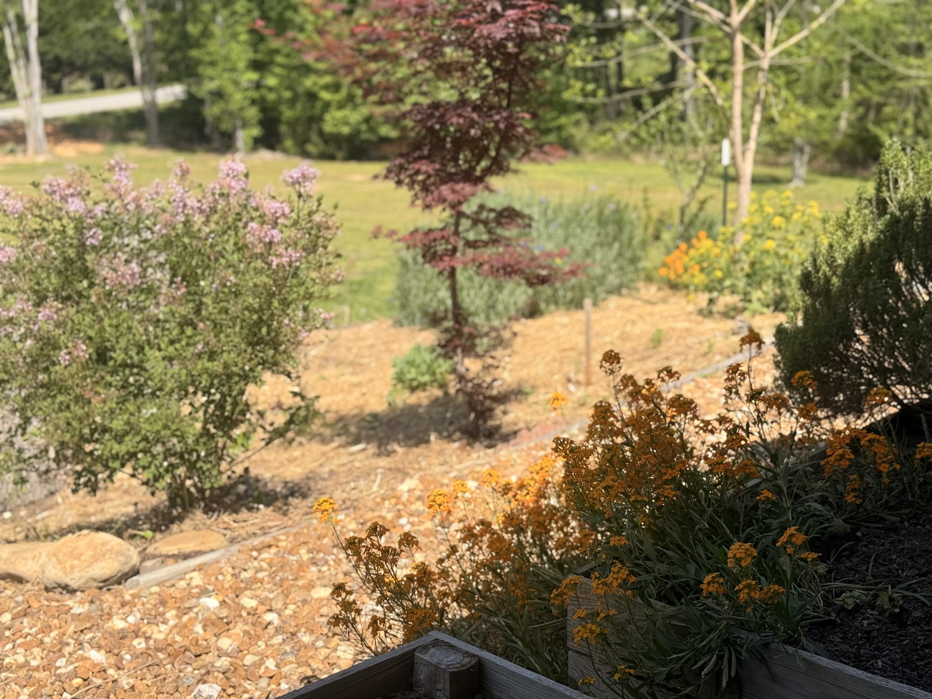 2175 North Dick Creek Road LaFayette, GA 30728 - Photo 50 of 69 IMG_4378