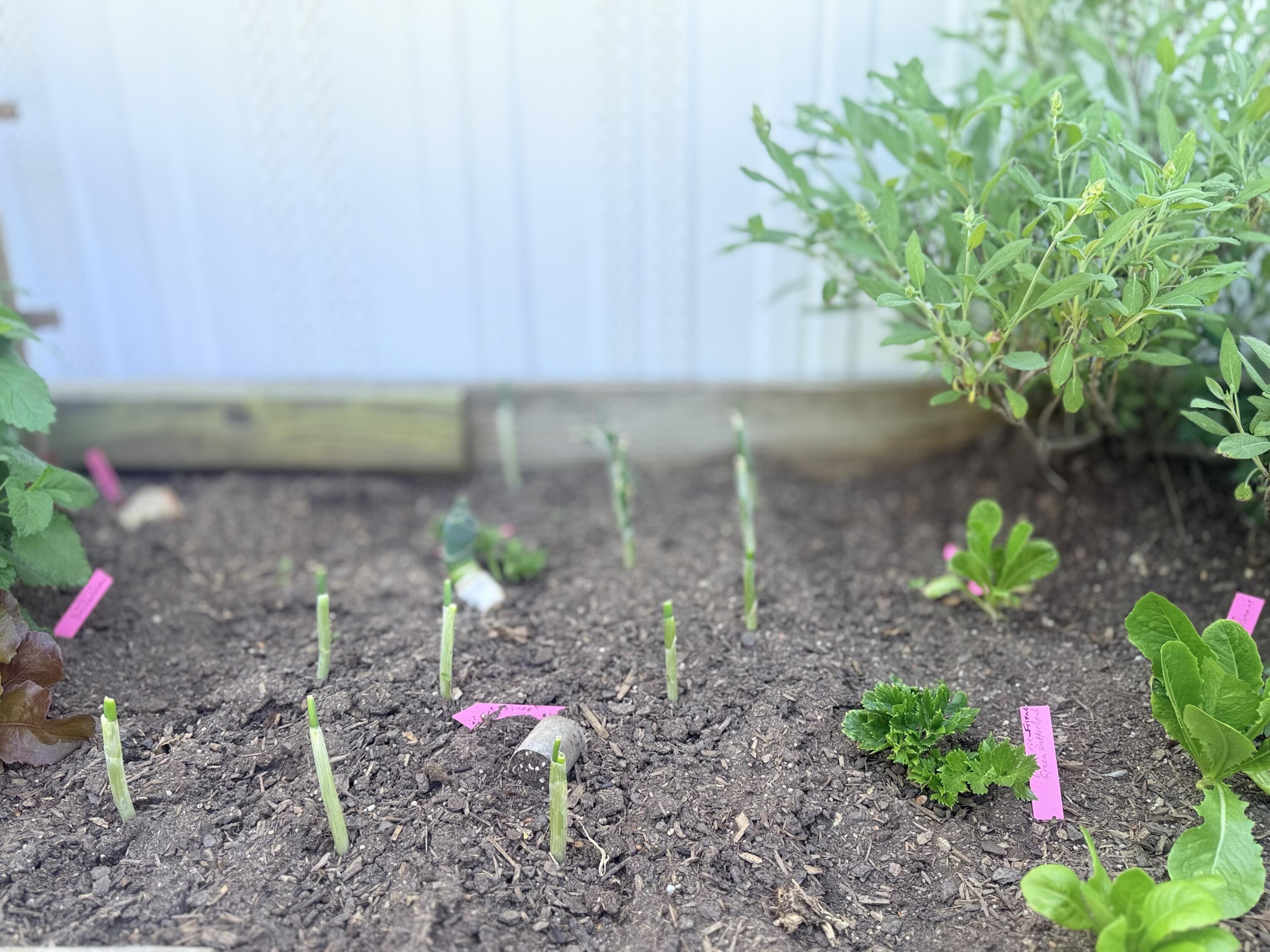 2175 North Dick Creek Road LaFayette, GA 30728 - Photo 51 of 69 IMG_4395