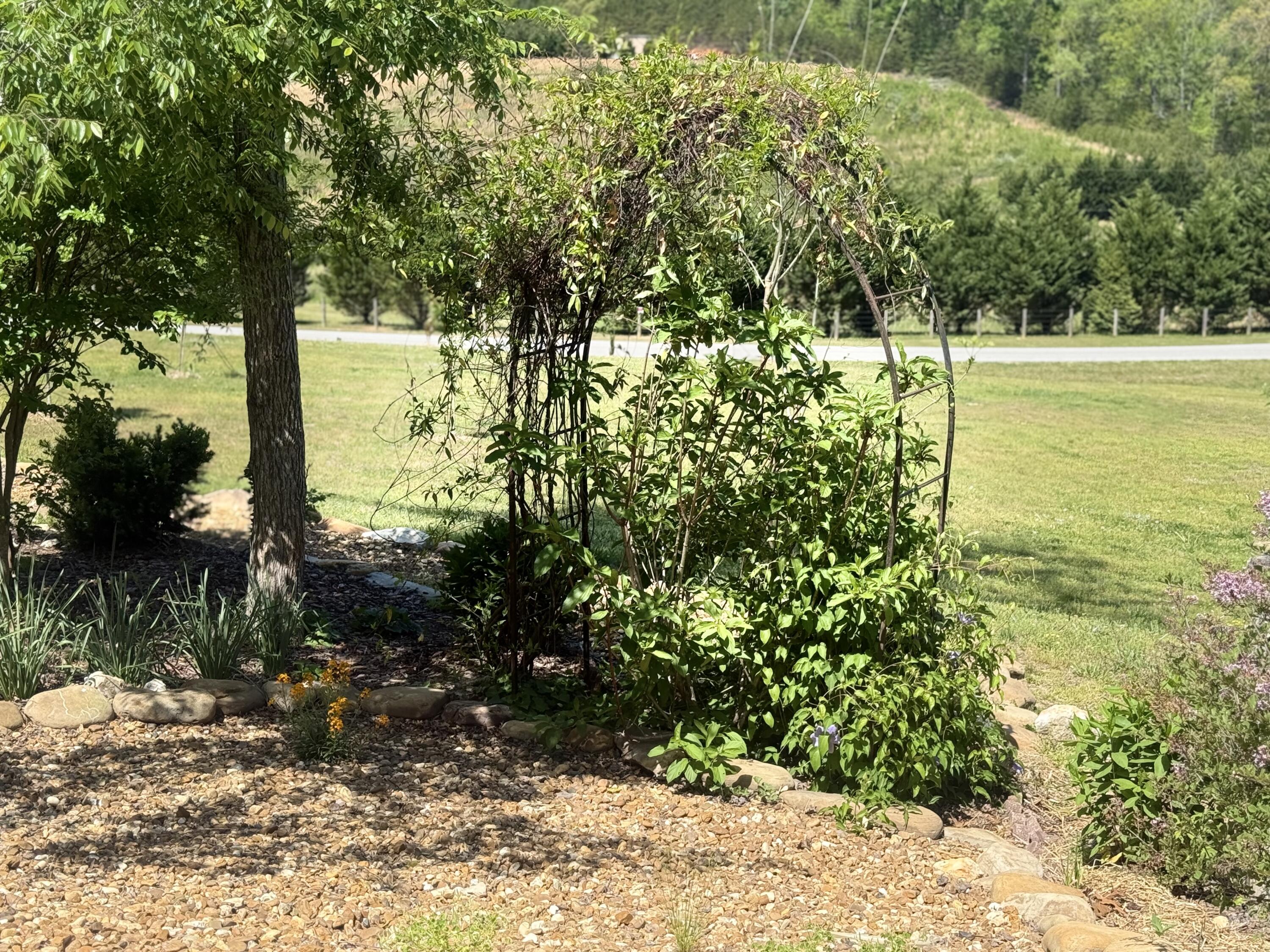 2175 North Dick Creek Road LaFayette, GA 30728 - Photo 52 of 69 IMG_4379