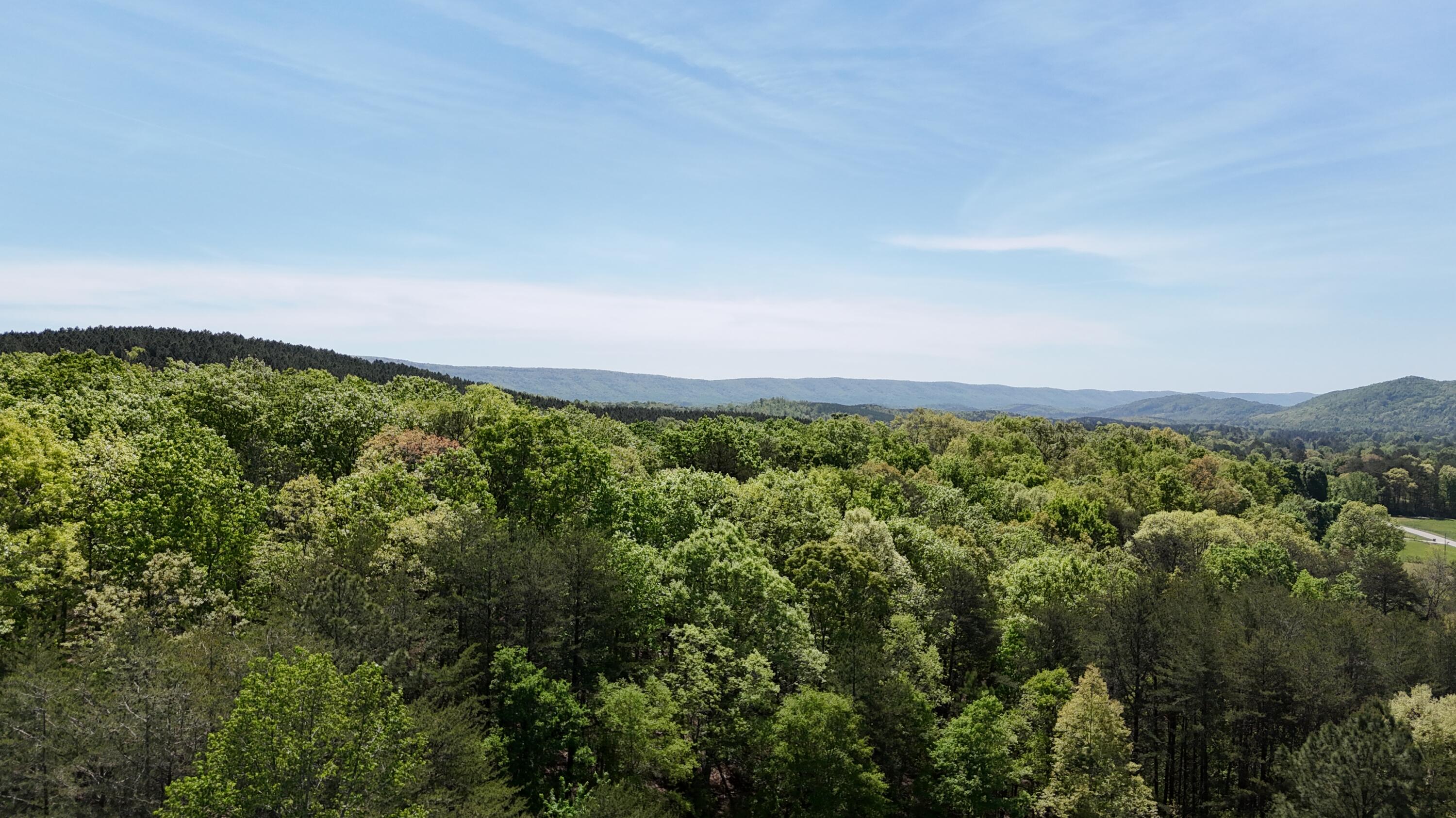 2175 North Dick Creek Road LaFayette, GA 30728 - Photo 59 of 69 dji_fly_20260415_123042_0080_17762720015