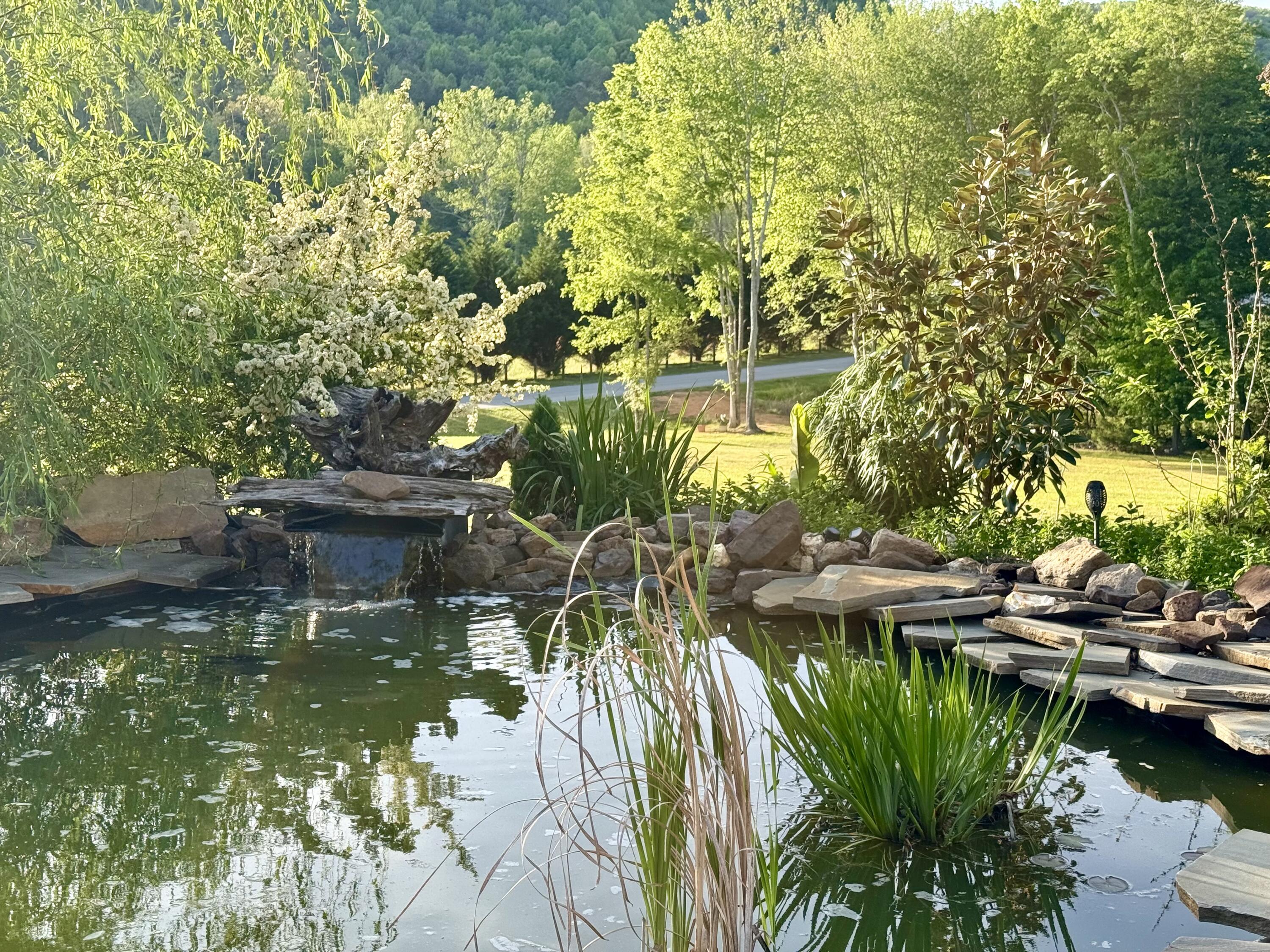 2175 North Dick Creek Road LaFayette, GA 30728 - Photo 66 of 69 IMG_4311