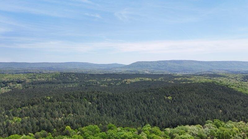 2175 North Dick Creek Road LaFayette, GA 30728 - Photo 68 of 69 dji_fly_2