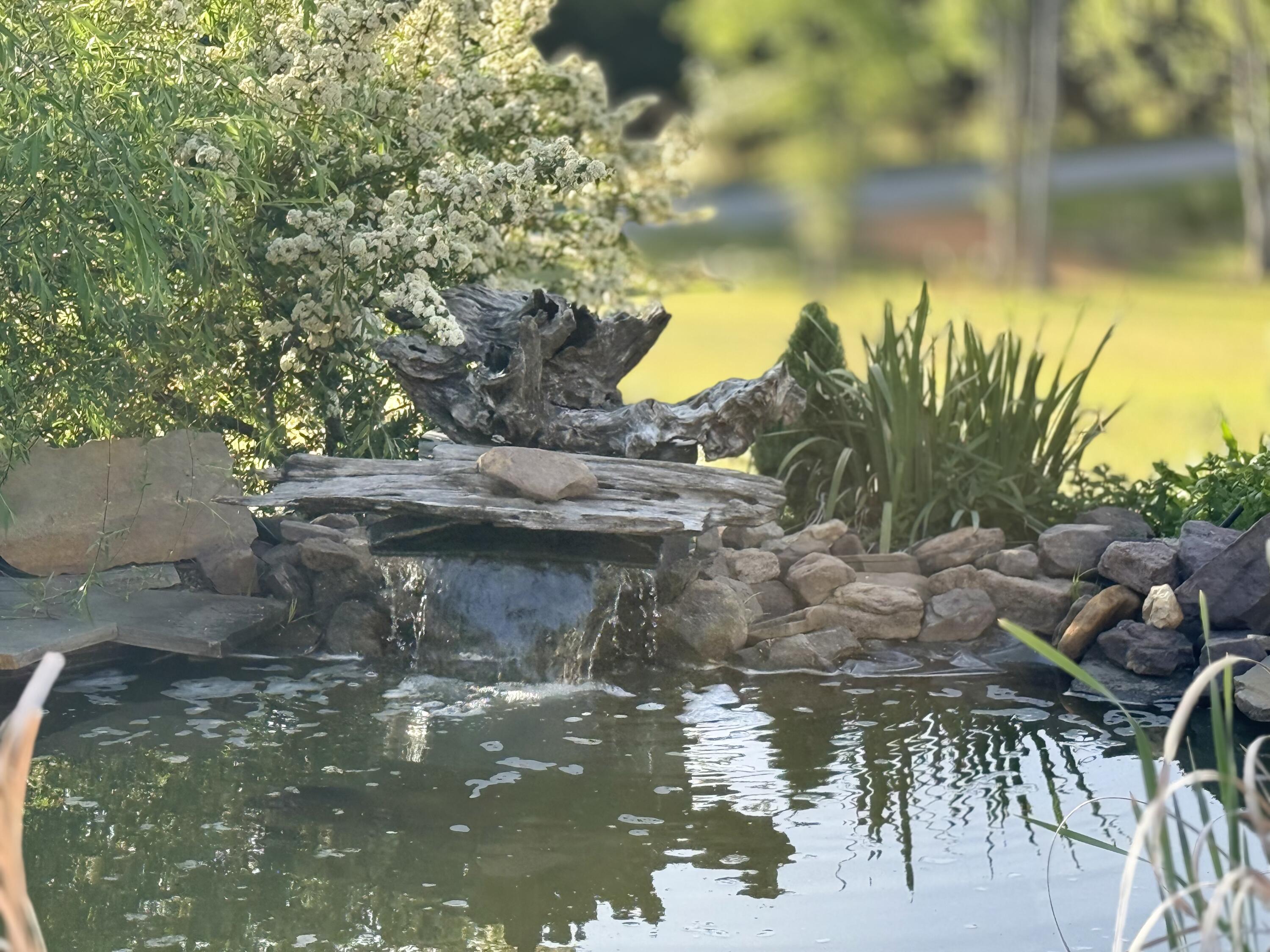 2175 North Dick Creek Road LaFayette, GA 30728 - Photo 7 of 69 IMG_4315