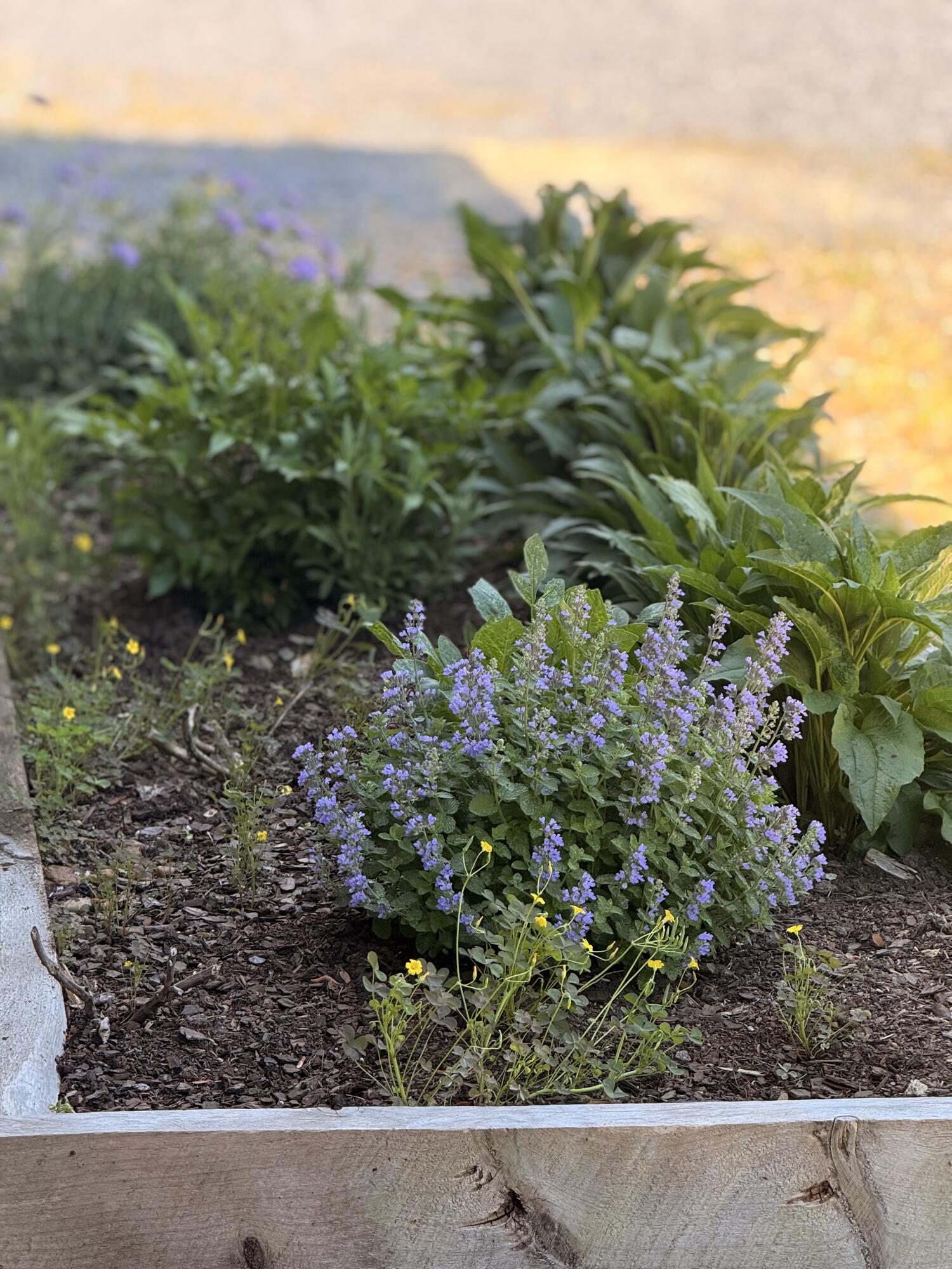 2175 North Dick Creek Road LaFayette, GA 30728 - Photo 10 of 69 IMG_4376