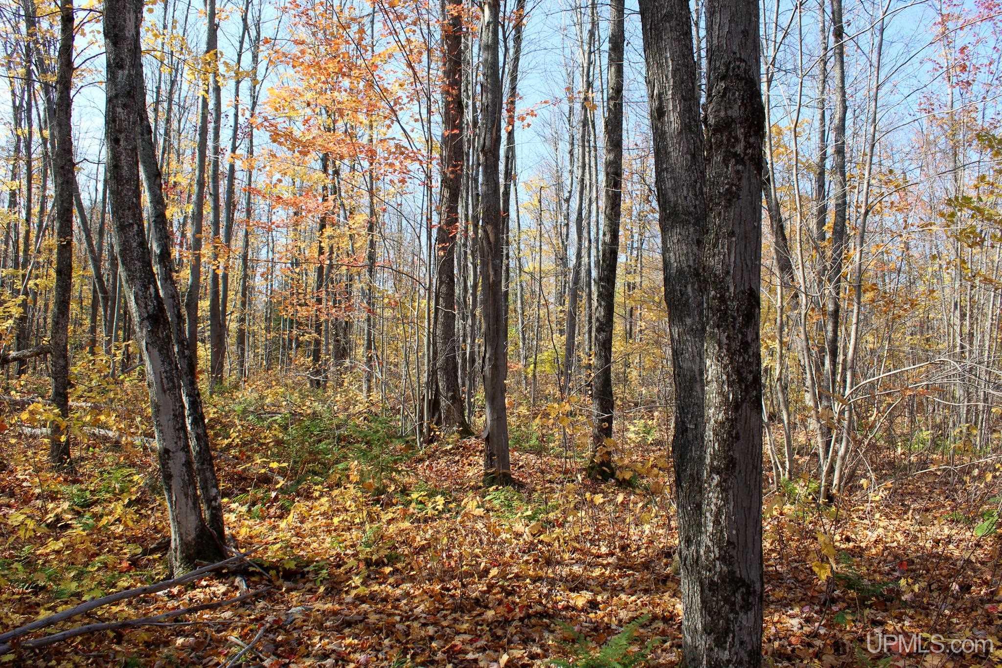 Tbd Pike River Road Chassell, MI 49916 - Photo 56 of 57 Gallery Image 56