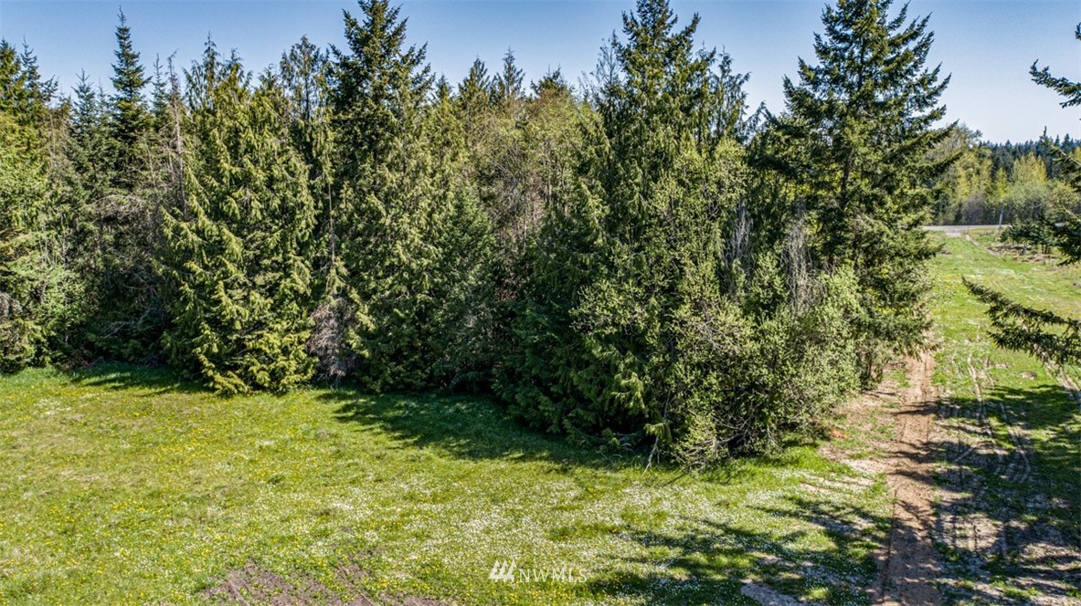 4 O'brien Rd Port Port Angeles, WA 98362 - Photo 22 of 23 a view of yard with green space