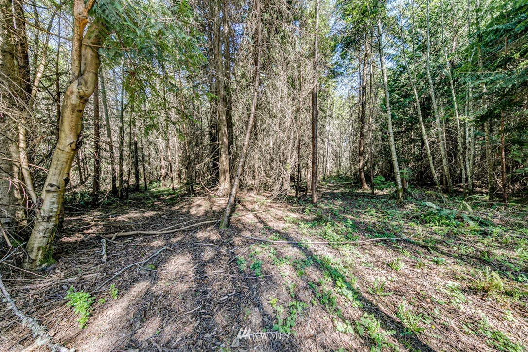 4 O'brien Rd Port Port Angeles, WA 98362 - Photo 6 of 23 a backyard of a house with lots of green space