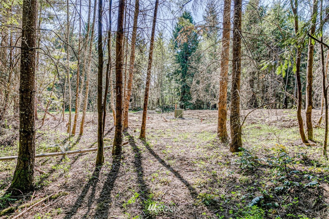 4 O'brien Rd Port Port Angeles, WA 98362 - Photo 8 of 23 a view of a yard with trees