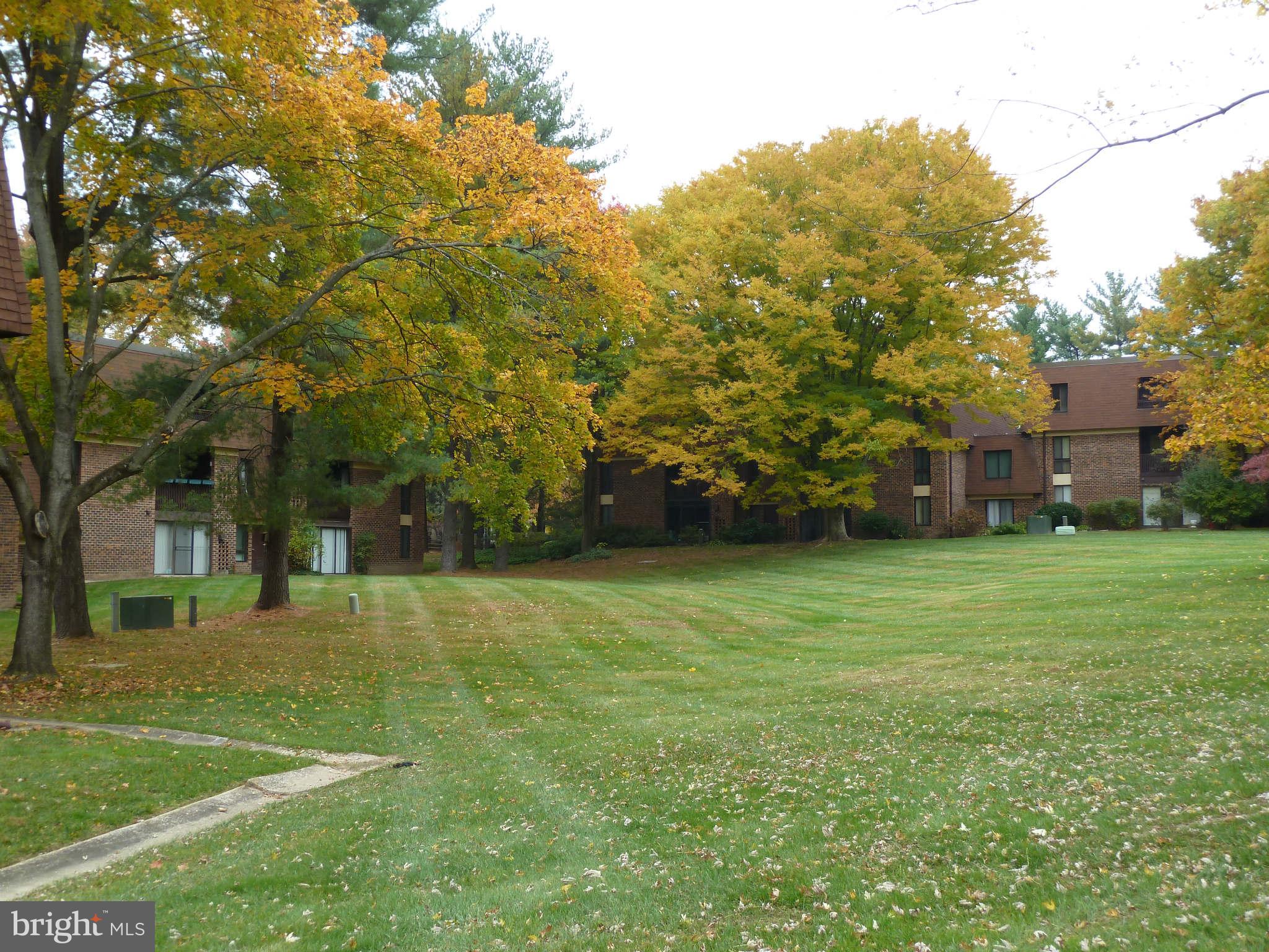 5248 West Running Brook Road, Unit 201 Columbia, MD 21044 - Photo 14 of 21 Court Yard