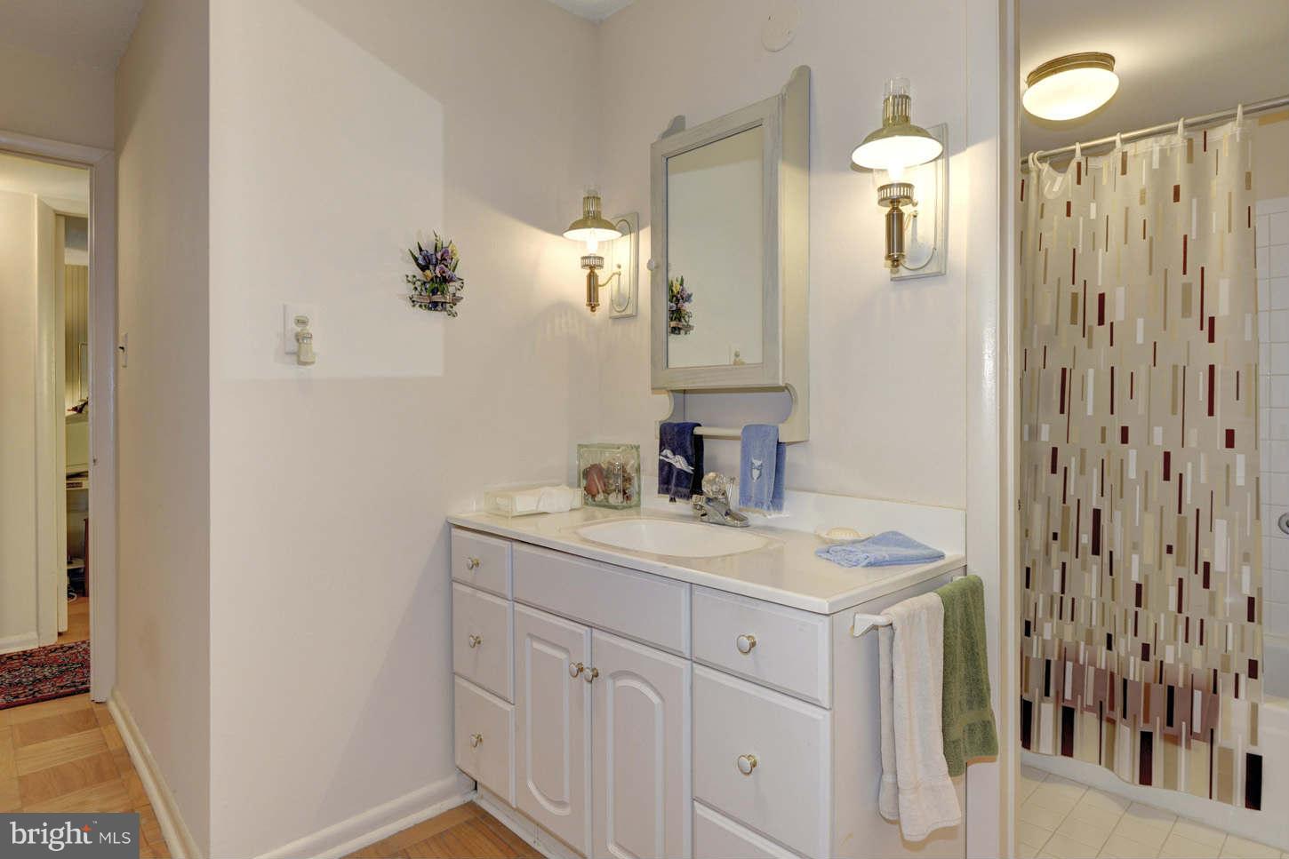 5248 West Running Brook Road, Unit 201 Columbia, MD 21044 - Photo 9 of 21 Bath (Master)