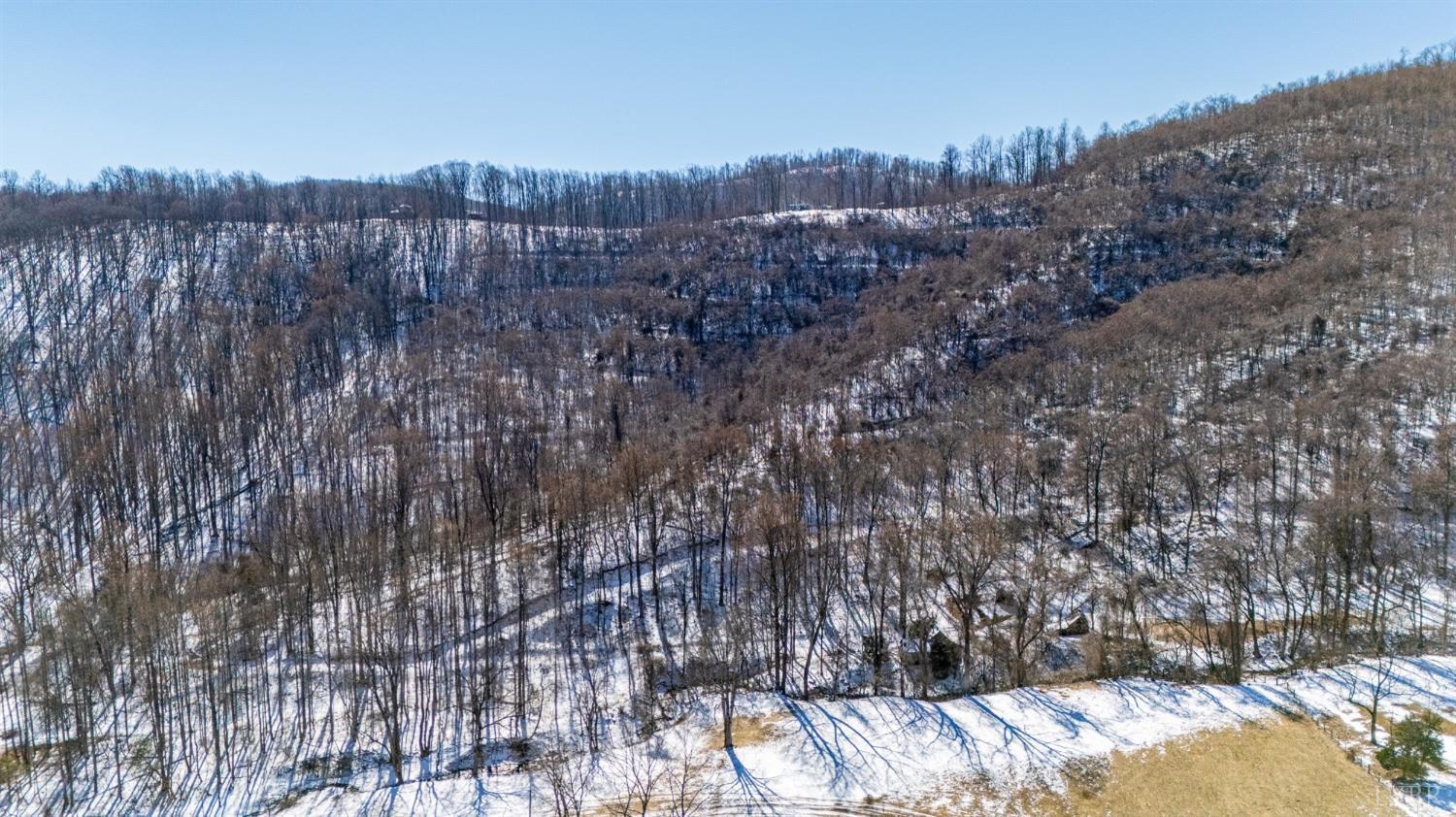 65-acres Lavender Lane Amherst, VA 24521 - Photo 11 of 48
