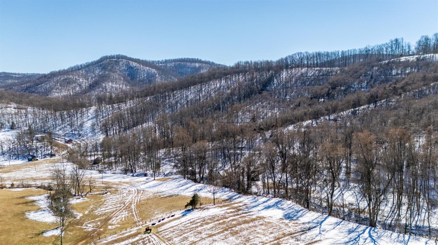 65-acres Lavender Lane Amherst, VA 24521 - Photo 12 of 48 a view of a backyard of the house