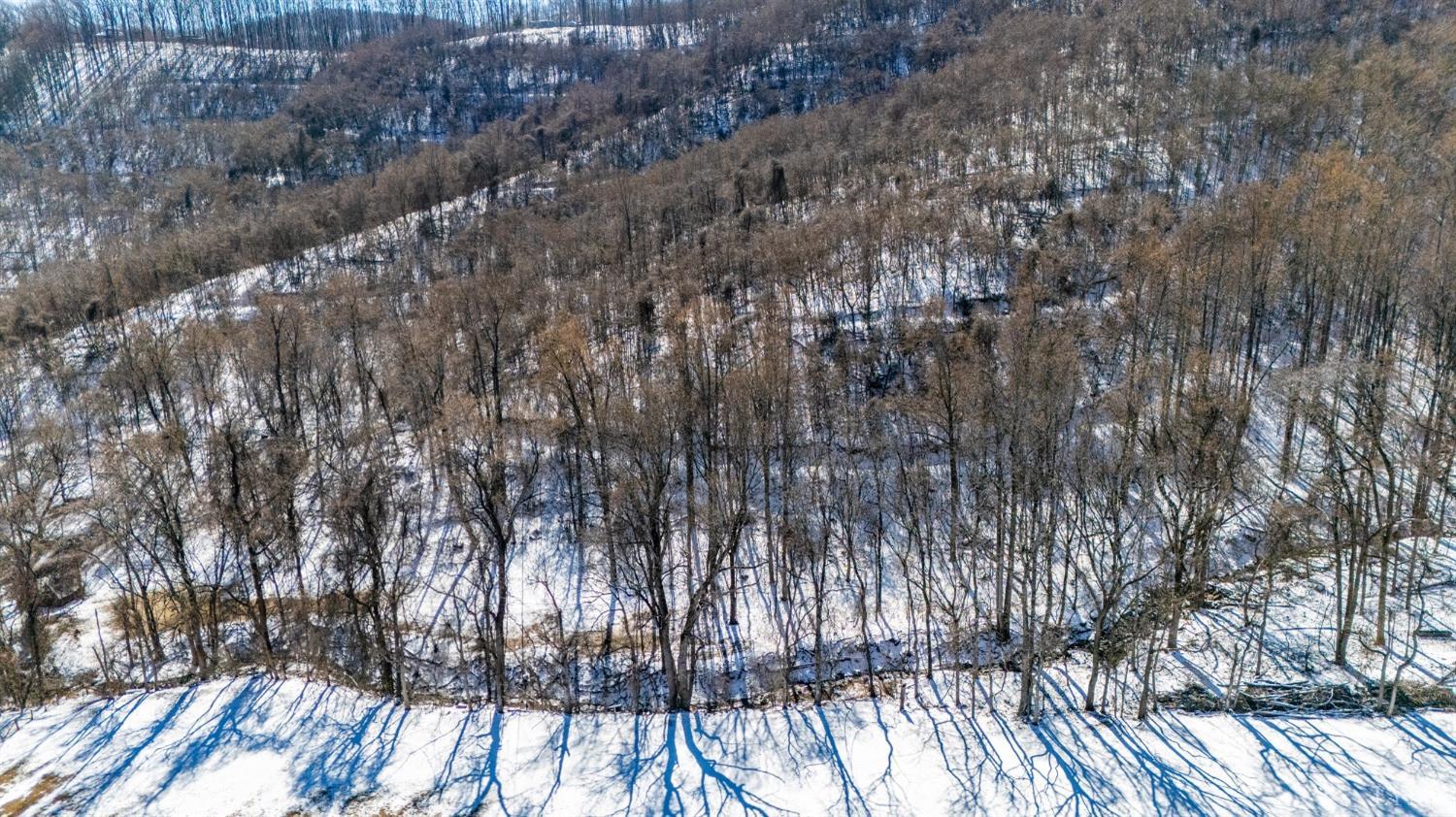 65-acres Lavender Lane Amherst, VA 24521 - Photo 13 of 48 a view of forest