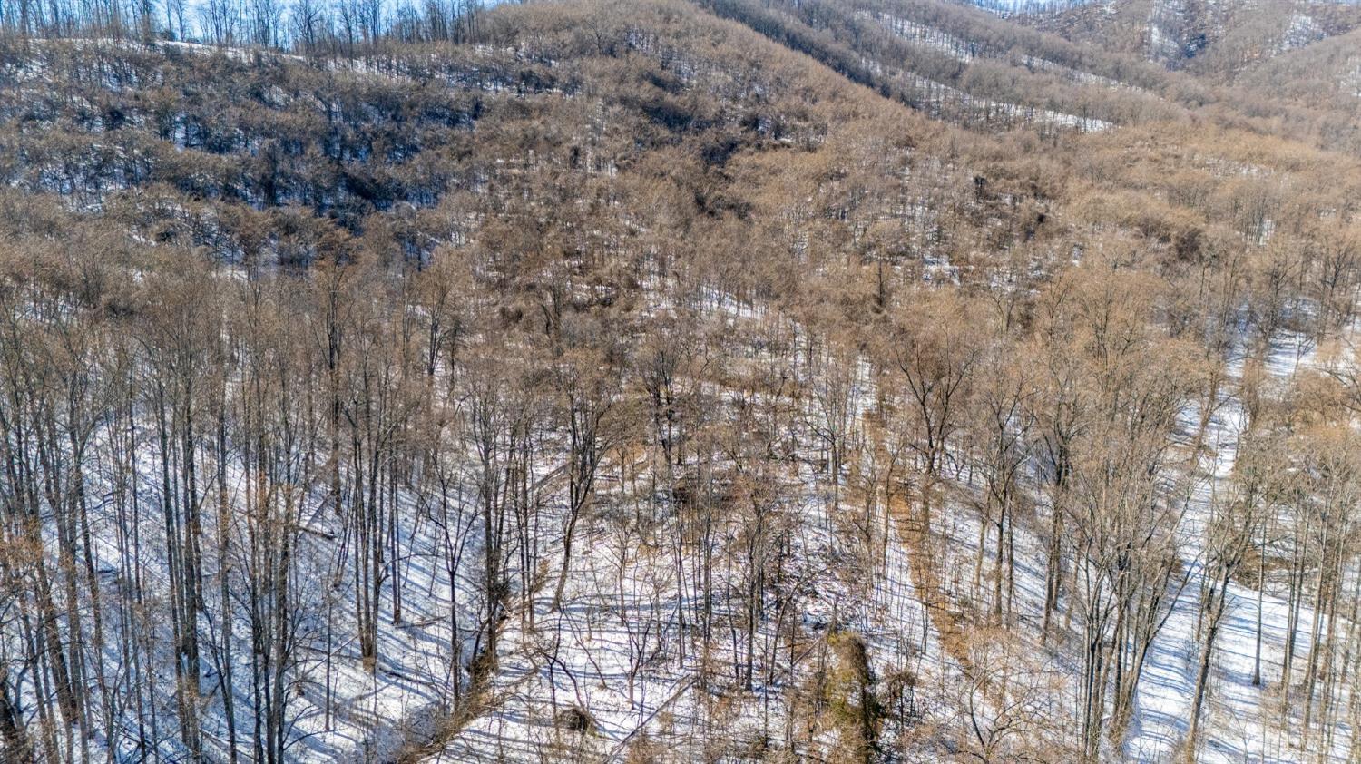 65-acres Lavender Lane Amherst, VA 24521 - Photo 17 of 48