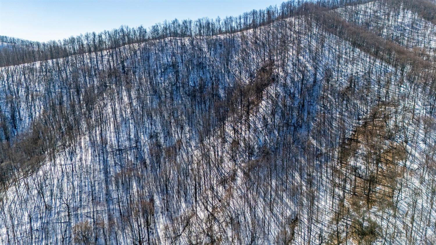 65-acres Lavender Lane Amherst, VA 24521 - Photo 21 of 48 a view of a backyard