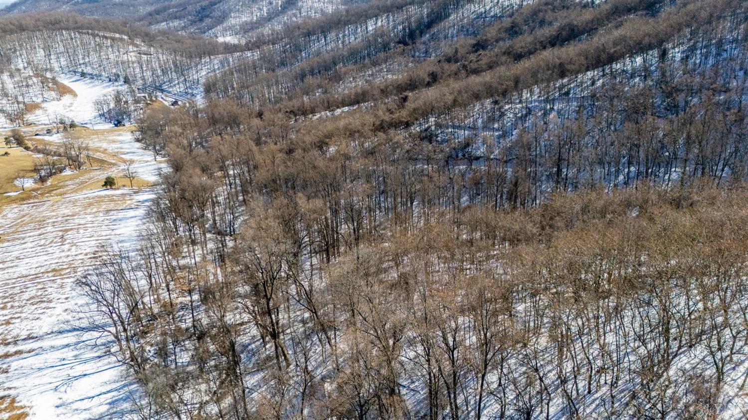 65-acres Lavender Lane Amherst, VA 24521 - Photo 23 of 48