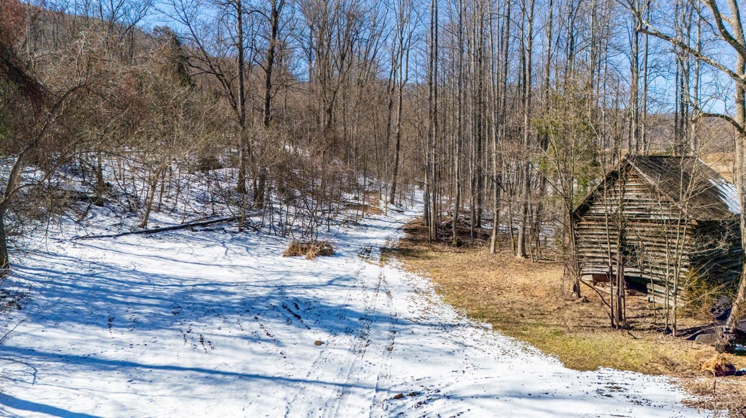 65-acres Lavender Lane Amherst, VA 24521 - Photo 24 of 48