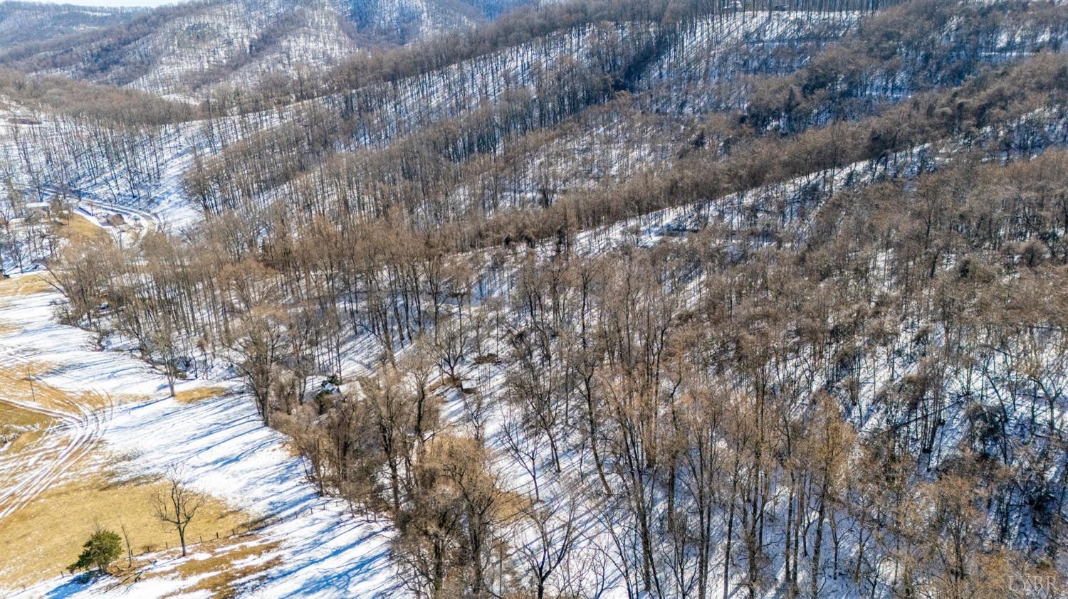 65-acres Lavender Lane Amherst, VA 24521 - Photo 32 of 48