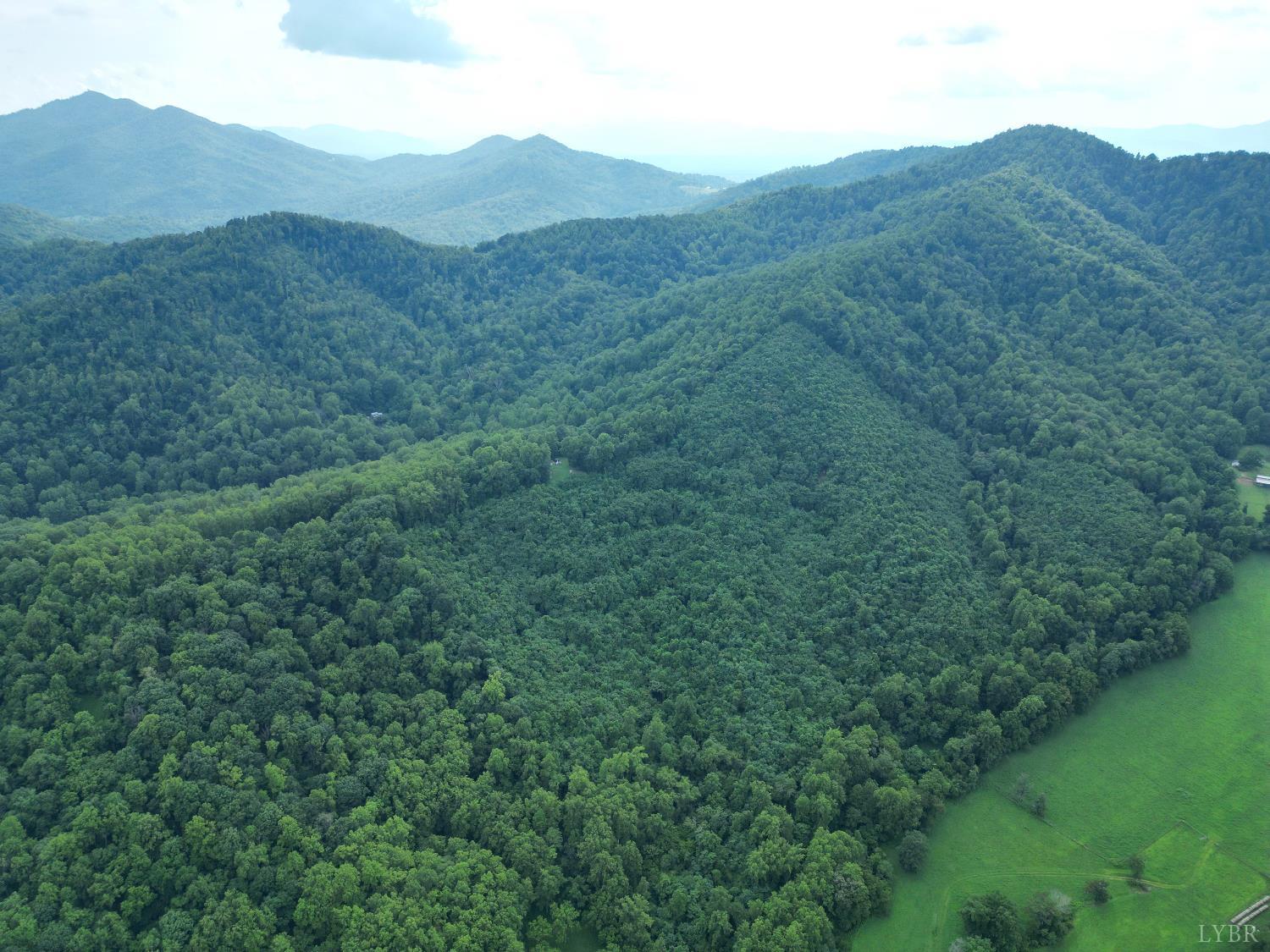 65-acres Lavender Lane Amherst, VA 24521 - Photo 35 of 48 a view of a mountain range with lush green forest