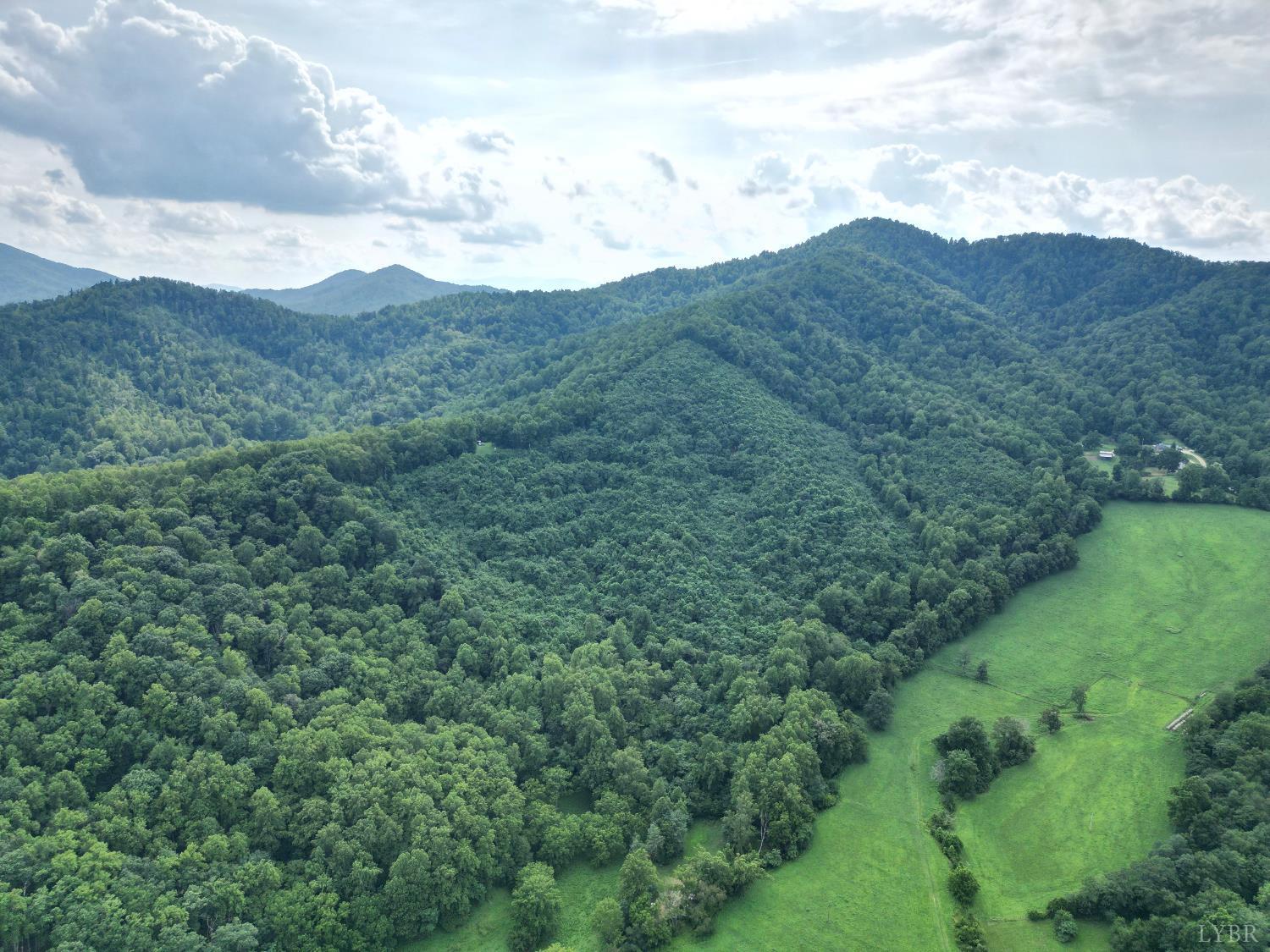 65-acres Lavender Lane Amherst, VA 24521 - Photo 40 of 48 a view of a mountain range with lush green forest