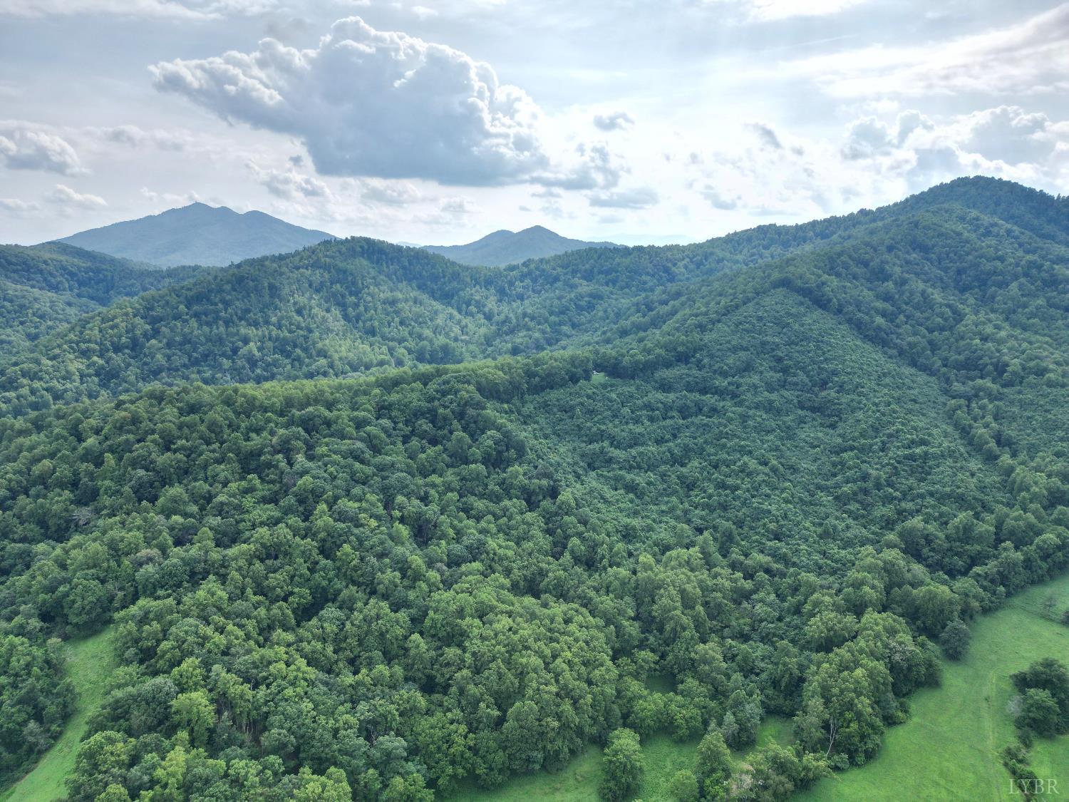 65-acres Lavender Lane Amherst, VA 24521 - Photo 41 of 48 a view of a mountain in the distance in a field